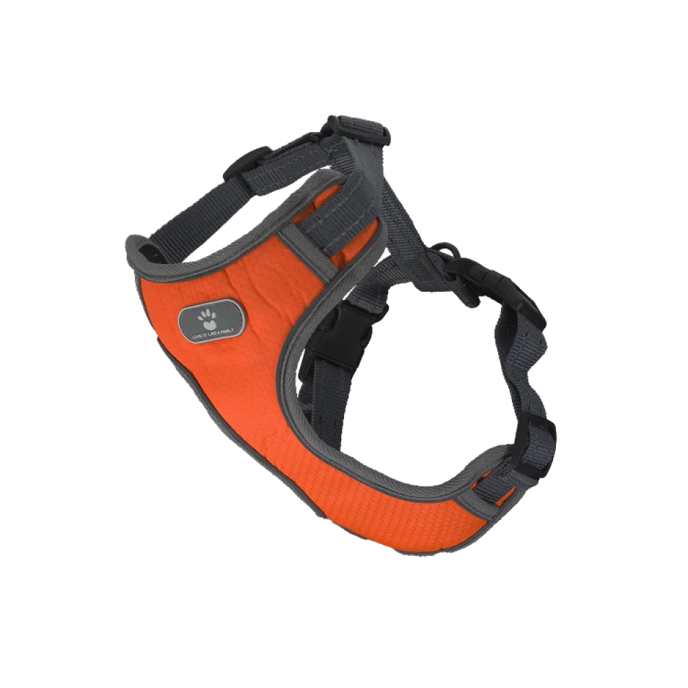 Шлея анатомічна світловідбивна AnimAll HL-8005-1 для собак, колір помаранчевий, M 38-64 см